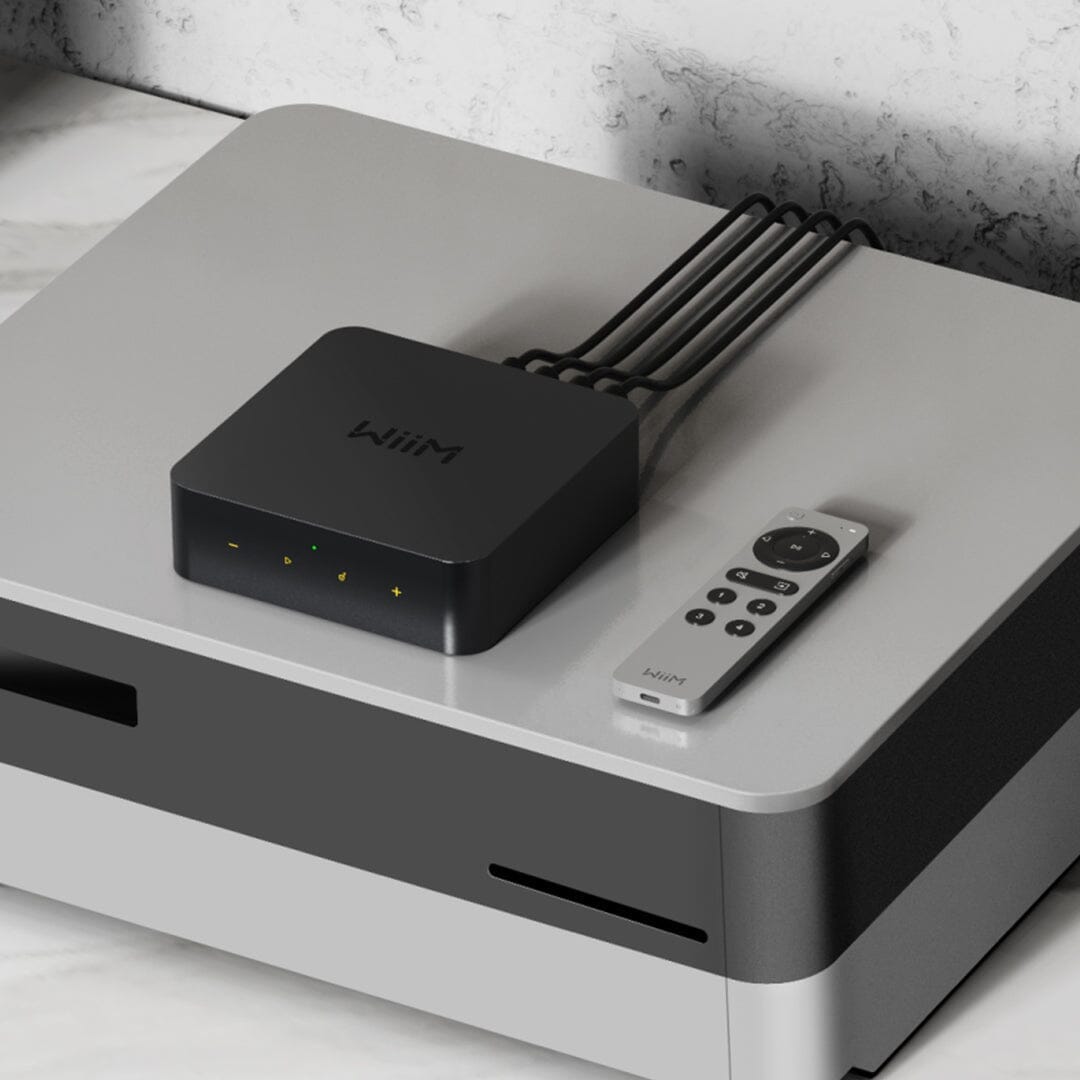 WiiM Voice Remote 2 Accessories WiiM