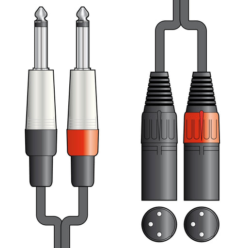 Citronic Classic Audio Leads 2 x 6.3mm Mono Jack Plugs - 2 x XLR Male Cables Citronic 