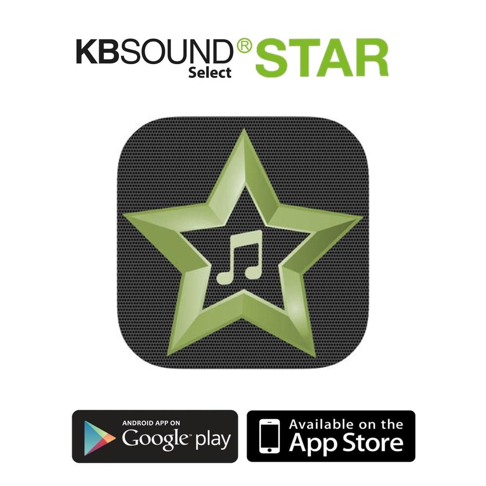 KB Sound Select Star DAB/FM Radio & Bluetooth 5" Ceiling Speaker System Ceiling Speaker Systems KB Sound 